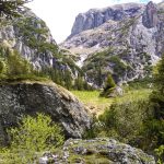Acţiune de refacere a marcajelor montane şi de ecologizare în Bucegi