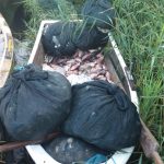 Peste 600 kg de pește și plase de pescuit cu fir textil, confiscate de polițiștii de frontieră