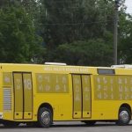 Autobuze din Iași, vopsite în culorile drapelului național