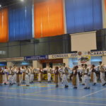 ie cupa europeana karate wkc dansuri populare (1)