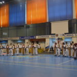 ie cupa europeana karate wkc dansuri populare (16)