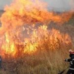 Incendiu de vegetație uscată în apropierea unei rafinării din Ploiești
