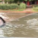Străzi din Ploiești, inundate după o ploaie torențială | VIDEO