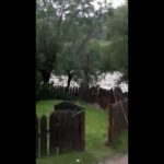 VIDEO Zece gospodării au fost inundate, joi seară, la Găinești