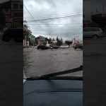 VIDEO Copaci rupți, curți și străzi inundate după o furtună violentă, la Suceava