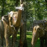 Condiții bune pentru animalele de la Zoo Tîrgu Mureș