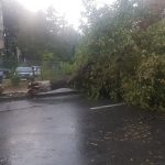 Copaci căzuți pe firele de electricitate, în Craiova