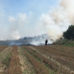 Zece hectare de vegetaţie uscată au ars lângă Agighiol