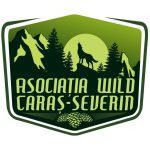 Imagini spectaculoase cu un căprior din pădurile din Caraș-Severin VIDEO
