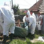 ALERTĂ Filtre anti-pestă porcină în comunele Ciorăști și Bălești