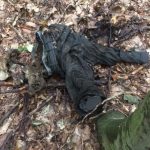 Resturi dintr-un cadavru uman, găsite de un cioban într-o pădure din Bistrița-Năsăud! Cum și-a încheiat socotelile cu viața un bătrân de 89 de ani