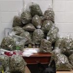 Zece kilograme de cannabis, confiscate la Călugăreni