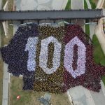 VIDEO: Record mondial omologat oficial la Alba Iulia