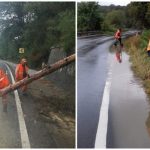 Copaci căzuți și drumuri inundate după codul galben