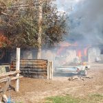 FOTO Incendiu de proporţii la o fermă din Orbeni. 30 de porci au ars de vii