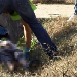 Cadavrul unei femei din Peicani, a zăcut în drum mai bine de 8 ore