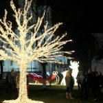 Elevii vor pune ornamentele de sărbători în Parcul Alei