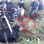 VIDEO. Intervenție a pompierilor bârlădeni pentru salvarea unei bovine căzute în apă, la Podul Pescăriei