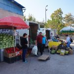 Ziua naţională a produselor agroalimentare româneşti a fost marcată, miercuri, la Reşiţa, printr-o acţiune de promovare a producătorilor zonali care îşi obţin produsele din materii prime autohtone şi care a adunat zeci de producători din Caraş-Severin. 