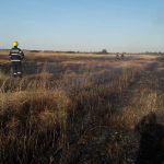 Video| Zeci de pompieri în luptă cu focul de vegetație