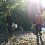 50 de saci cu deșeuri, bilanțul curățeniei pe malurile Begăi