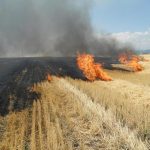 Șapte localități din Prahova afectate de incendii de vegetație