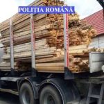 92 metri cubi de material lemnos, confiscat de polițiști