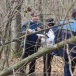 Adolescent căutat de autorități în pădure la Gârceni