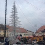 Bradul de Crăciun din Piaţa Mare nu e pe placul sibienilor. Primăria Râmnicu Vâlcea: “Cel mai trist şi urât brad se află la Sibiu!”