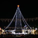 Cisnădia va avea cel mai înalt brad de Crăciun din România, de 42 de metri