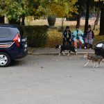 VIDEO. Scandal la capturarea câinilor fără stăpân de pe străzile din Bârlad