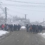 A doua zi de răscoală, la Rusăneşti-Olt, unde oamenii au blocat drumul şi nu-i lasă pe veterinari să le omoare porcii – FOTO