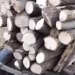 Poliția și Jandarmeria, acțiuni de depistare a operațiunilor ilegale cu material lemnos