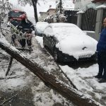 Copaci doborâţi de zăpadă, în Craiova – FOTO