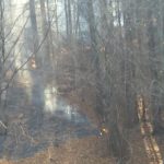 Val de incendii de vegetație uscată în județul Hunedoara