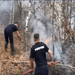 VIDEO: Pompierii intervin la un incendiu mare în Sălciua de Sus