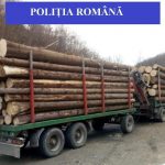 15 mc de lemne confiscate de polițiștii din Sebeș