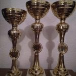 Trofee pentru actorii de la LMK Vaslui