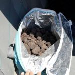 58 de kilograme de trufe confiscate din mașina unui bărbat