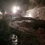VIDEO | Circulaţie blocată, pe DN7, pentru înlăturarea unui copac căzut pe carosabil