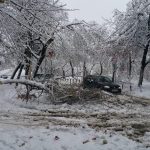 Avalanșă de urgențe, în Timișoara, din cauza zăpezii