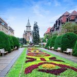 Un președinte nou al Asociației Timișoara 2021 – Capitala Europeană a Culturii