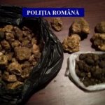Patru kilograme de trufe, confiscate în Gorj