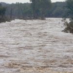 Cod galben de inundaţii pe mai multe râuri din județul Timiș