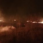 Incendiu violent în județul Giurgiu, la o fostă amenajare piscicolă  