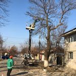 Lucrări de toaletare a arborilor și curățare a spațiilor verzi în Giurgiu