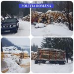 Firme de exploatarea și prelucrarea lemnului din Bistrița-Năsăud, verificate de polițiști și Garda Forestieră! Ce sancțiuni au fost aplicate și cât lemn a fost confiscat