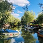 Delta Dunării promovată la Londra ca destinație de ecoturism
