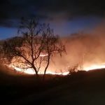 Incendiu de vegetație! Cetățenii s-au mobilizat și au ajutat pompierii la stingerea focului