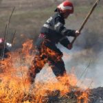 Incendiu de vegetație în municipiul Satu Mare